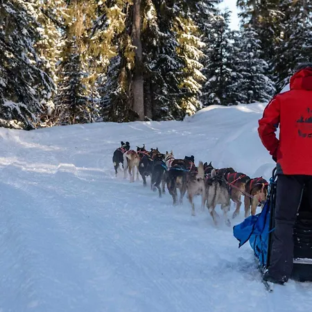 Résidence Les Alpages - Skis Aux Pieds En Rez-de-jardin Mae-3833 Apartamento Notre-Dame-de-Bellecombe